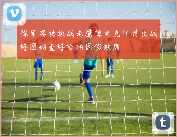 绿军客场挑战老鹰德里克怀特出战塔图姆奎塔哈珀因伤缺席