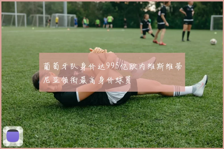 葡萄牙队身价达995亿欧内维斯维蒂尼亚领衔最高身价球员