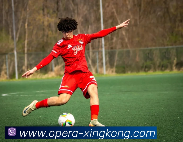 星空体育APP 高清赛事图